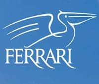 A blue sky with the word ferrari written in white.